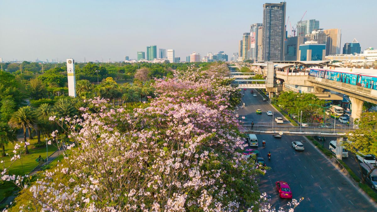 Parco Chatuchak Thailandia Bangkok